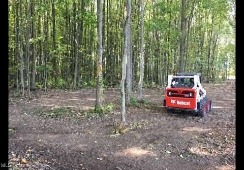 20.8 Acres of Recreational Land for Sale in Madison, Ohio