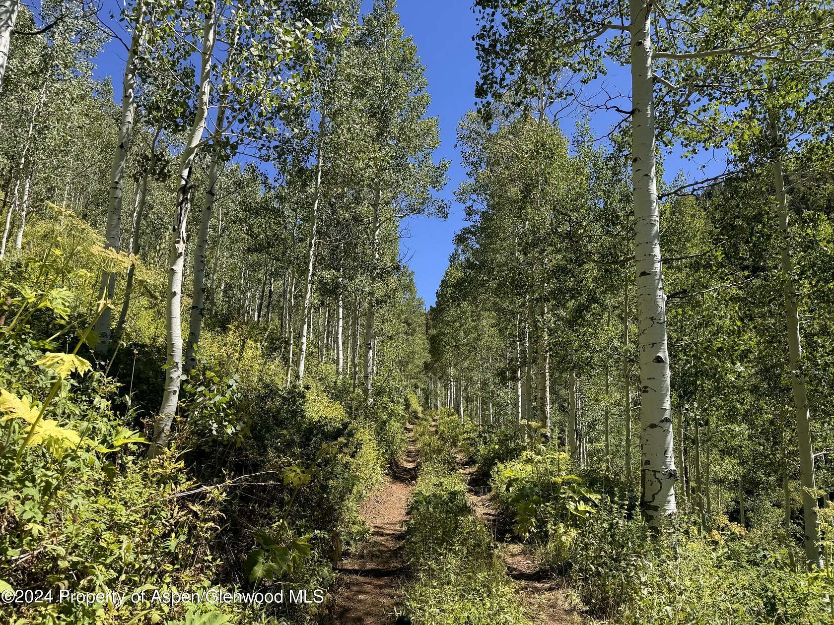 160 Acres of Recreational Land with Home for Sale in Glenwood Springs, Colorado