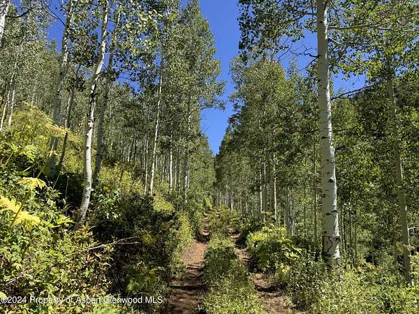 160 Acres of Recreational Land with Home for Sale in Glenwood Springs, Colorado