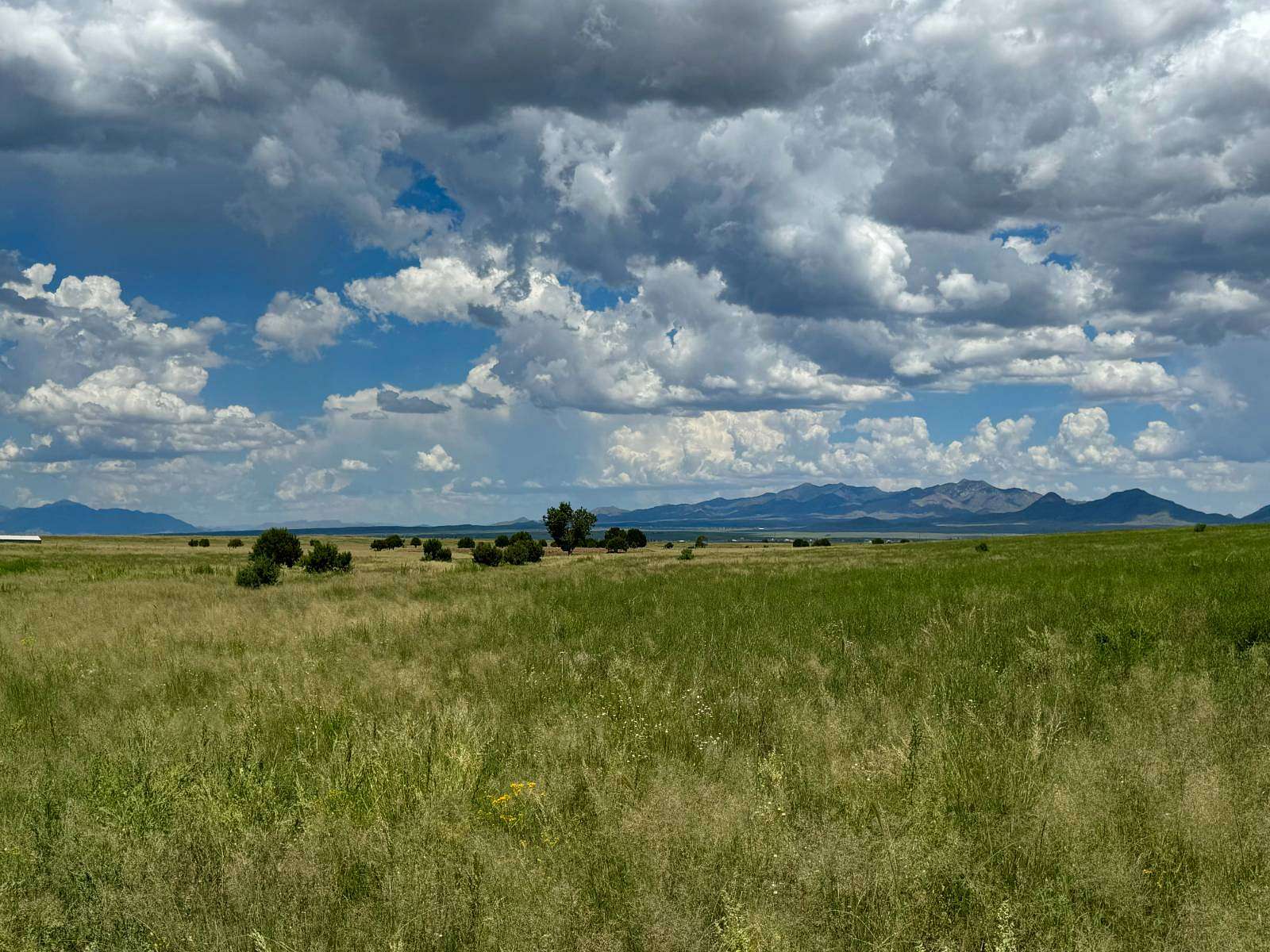 10 Acres of Residential Land for Sale in Sonoita, Arizona