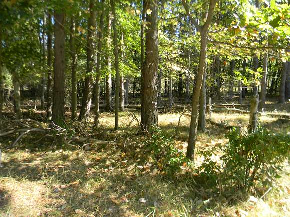 0.41 Acres of Land for Sale in Canadian Lakes, Michigan