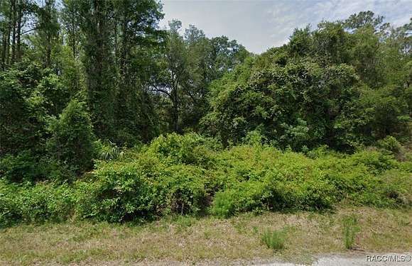 1.16 Acres of Land for Sale in Crystal River, Florida