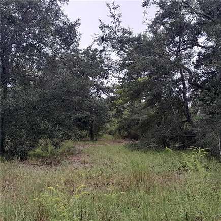 1 Acre of Land for Sale in Williston, Florida