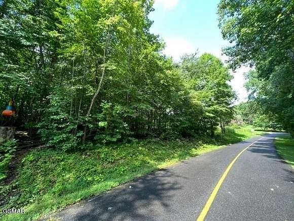 0.4 Acres of Residential Land for Sale in Baneberry, Tennessee