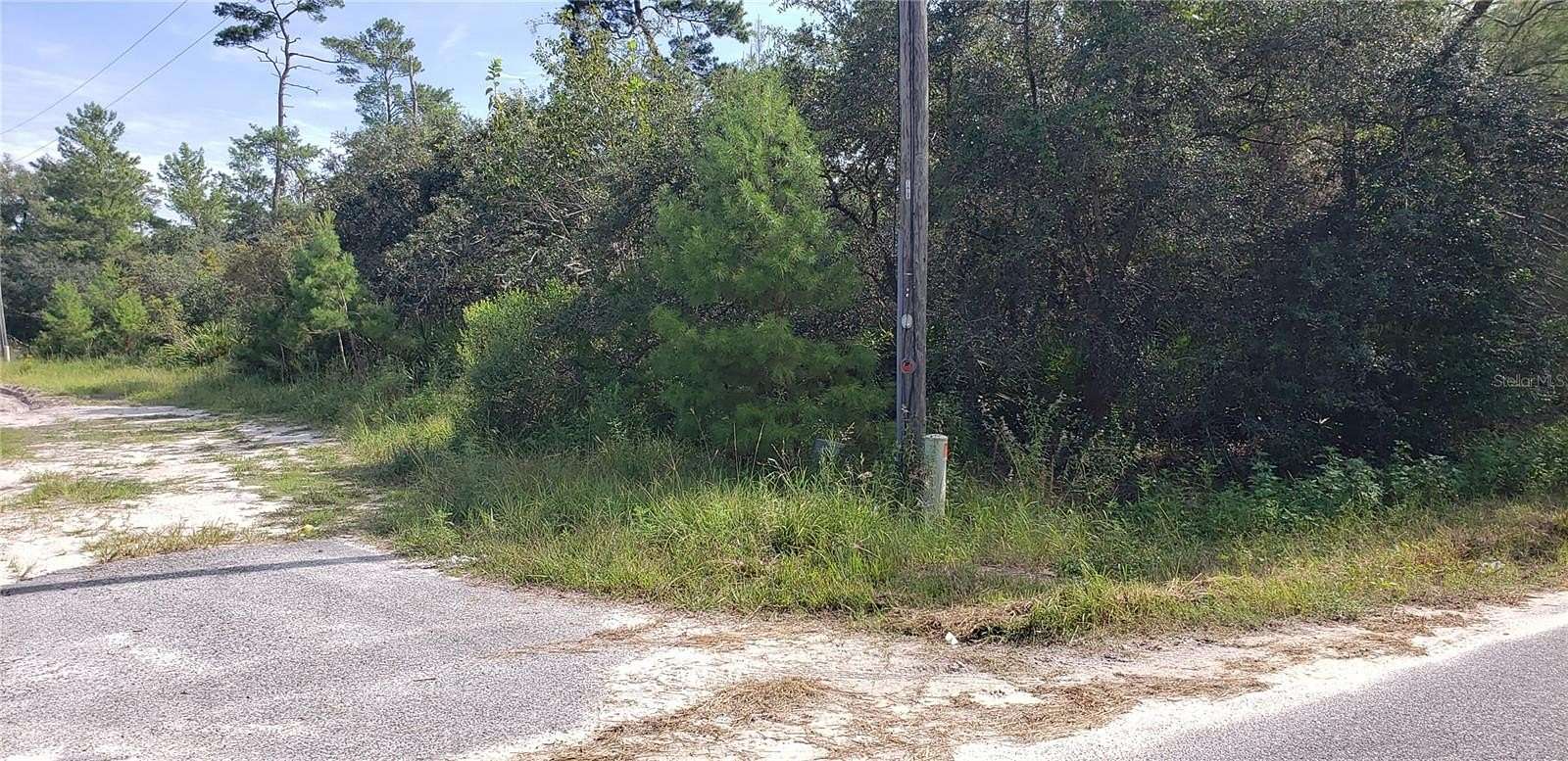 0.49 Acres of Residential Land for Sale in Paisley, Florida