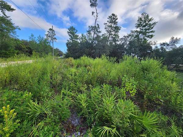 0.49 Acres of Residential Land for Sale in Paisley, Florida
