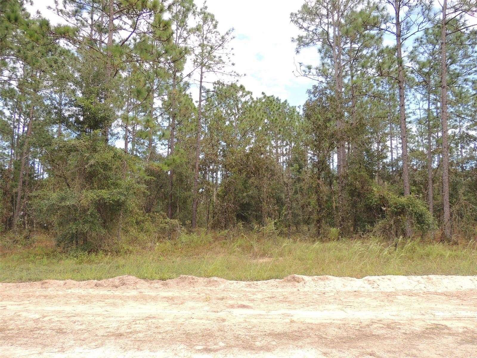 1 Acre of Residential Land for Sale in Williston, Florida