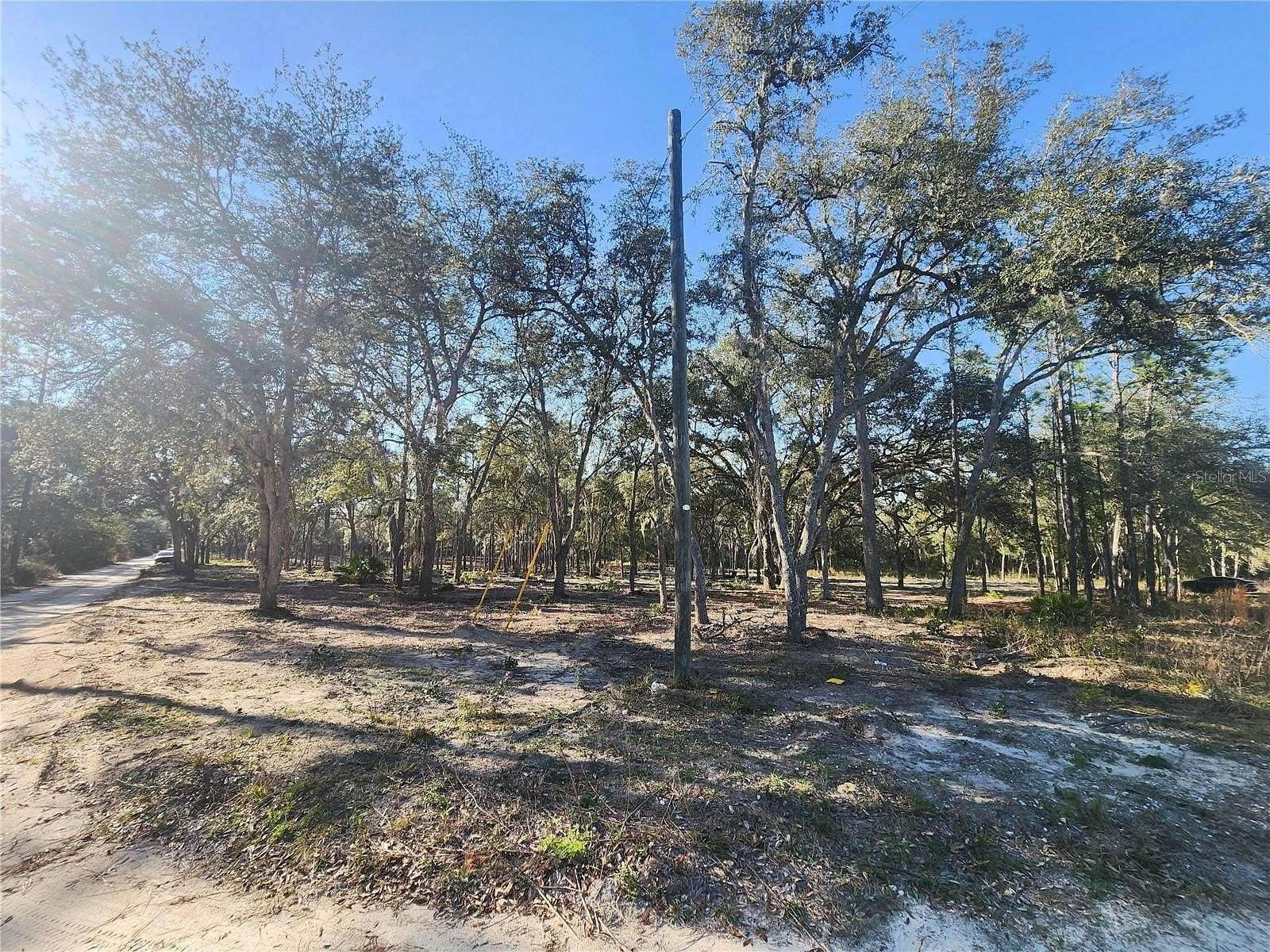 1.25 Acres of Land for Sale in Bronson, Florida