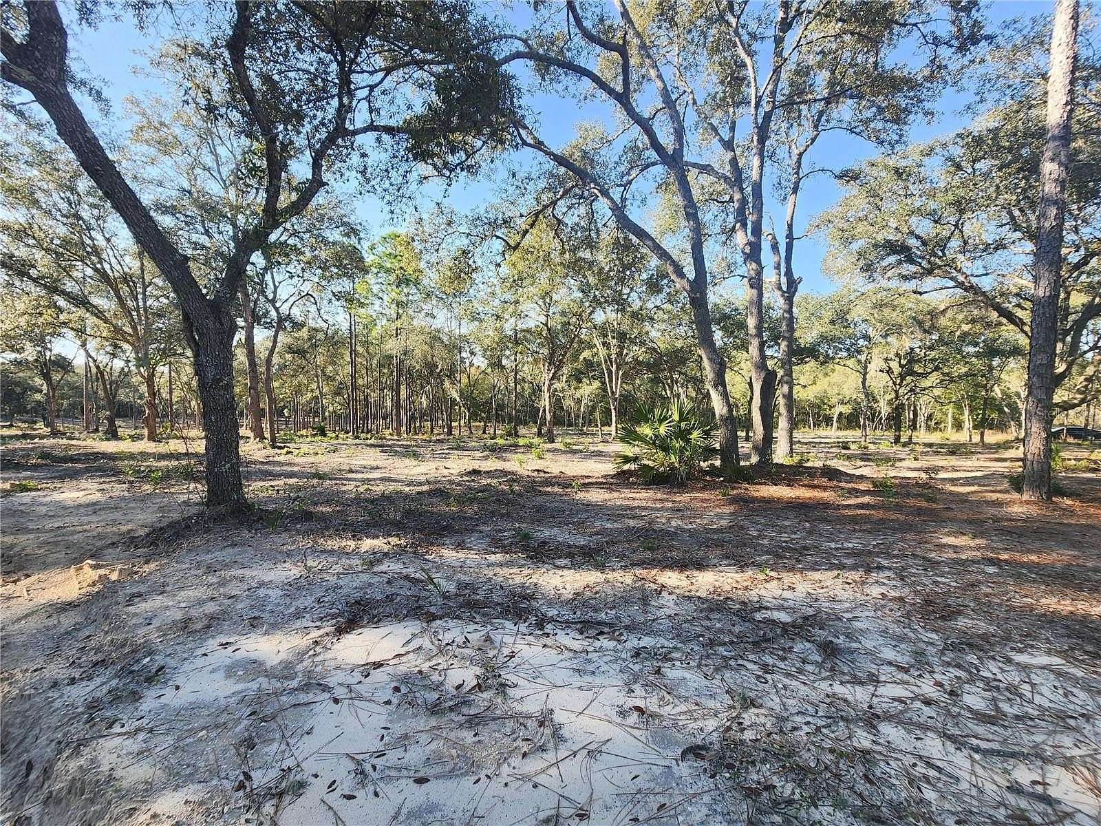 1.25 Acres of Land for Sale in Bronson, Florida