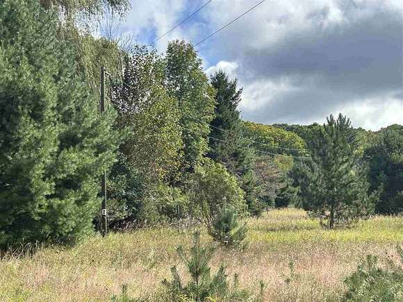 30 Acres of Land for Sale in East Jordan, Michigan