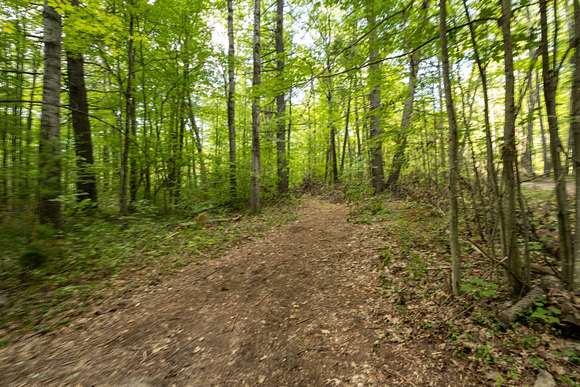 0.115 Acres of Land for Sale in Topinabee, Michigan