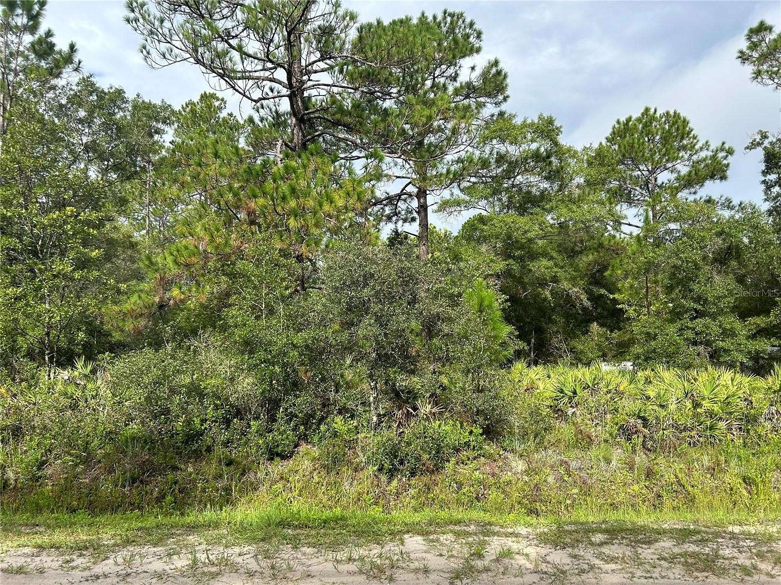 1.14 Acres of Residential Land for Sale in Hastings, Florida