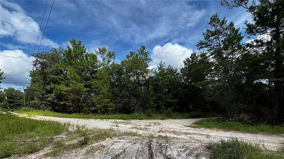 0.31 Acres of Residential Land for Sale in Satsuma, Florida