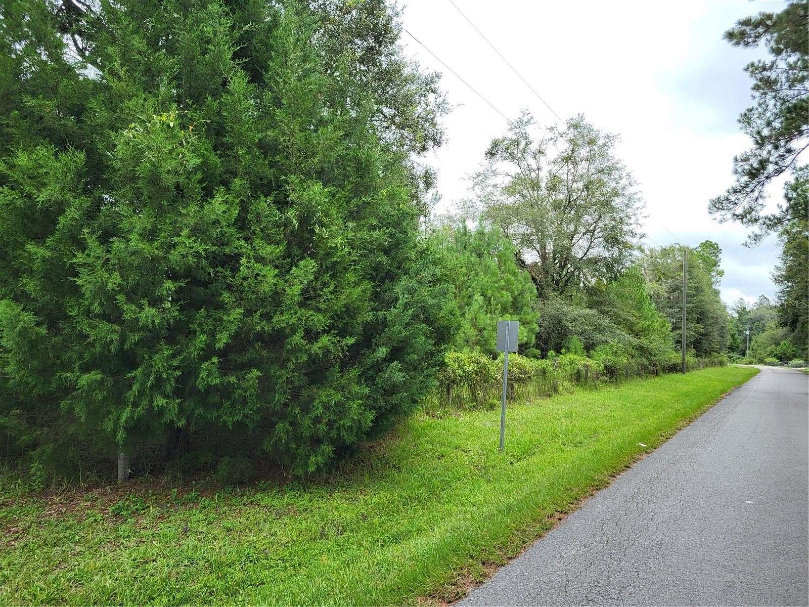 52 Acres of Recreational Land for Sale in Lake Butler, Florida