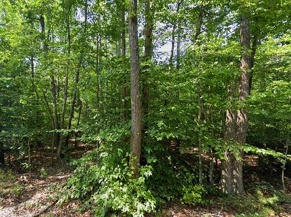 47.89 Acres of Recreational Land for Sale in Mineral, Virginia