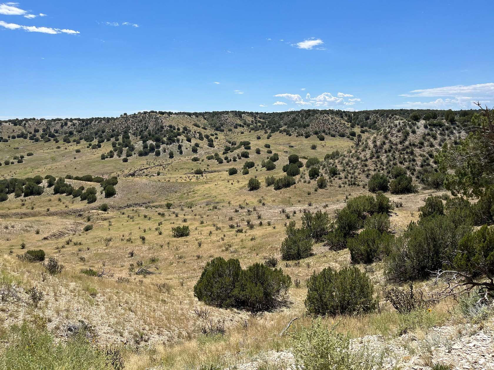 80 Acres of Recreational Land & Farm for Sale in Pueblo, Colorado