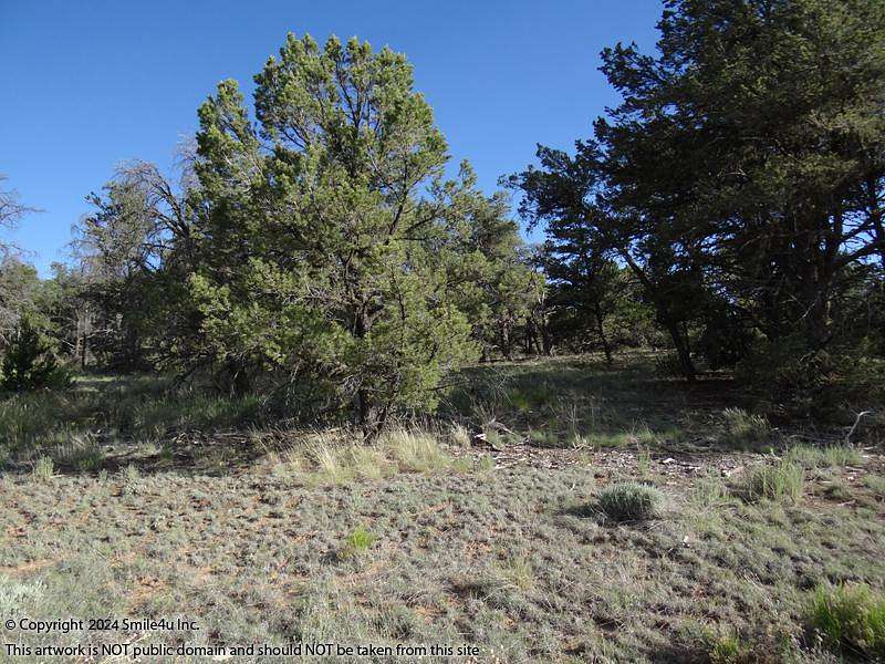 11.59 Acres of Recreational Land for Sale in Pinehill, New Mexico