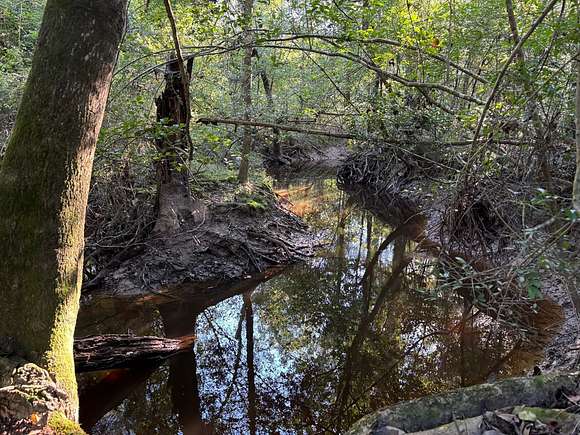 40 Acres of Recreational Land & Farm for Auction in Reeves, Louisiana