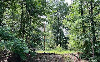 8.5 Acres of Residential Land for Sale in Middleton, Tennessee