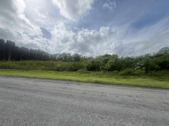 1.58 Acres of Residential Land for Sale in The Acreage, Florida