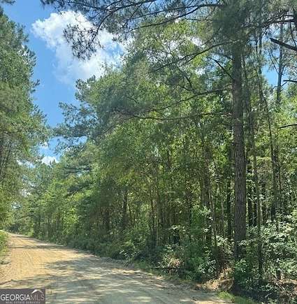 17.1 Acres of Land for Sale in Lyons, Georgia