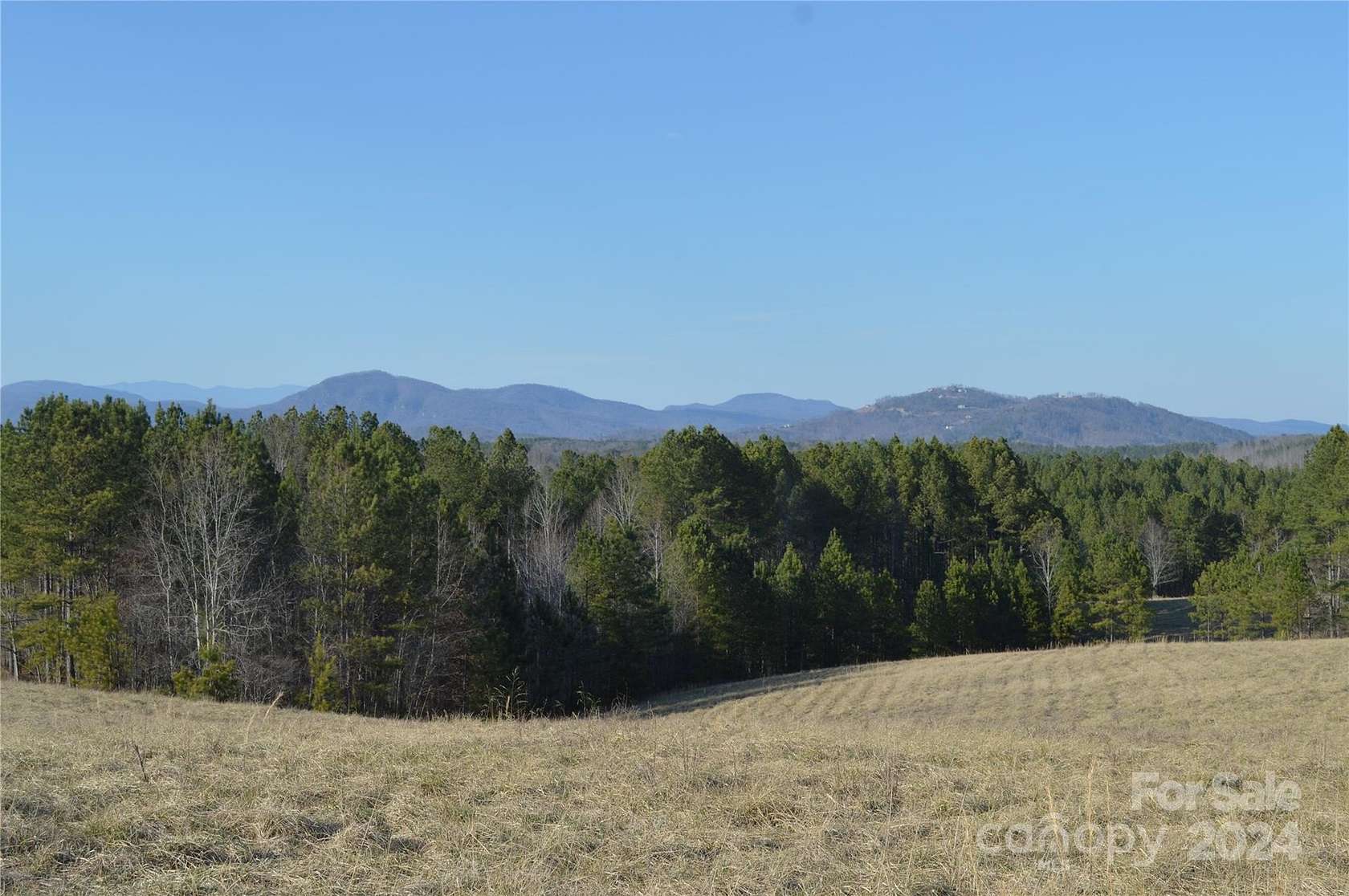 25.73 Acres of Recreational Land & Farm for Sale in Mill Spring, North Carolina