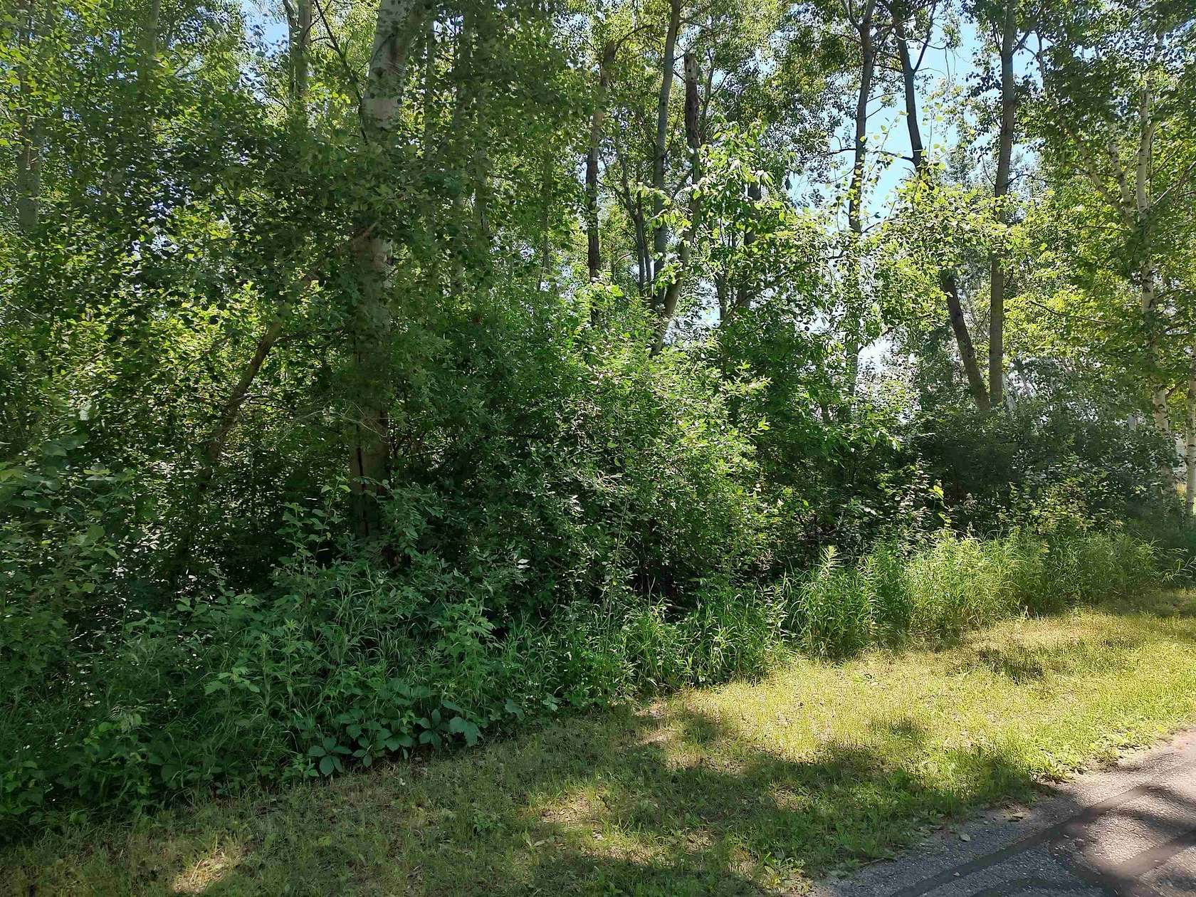 0.28 Acres of Residential Land for Sale in Lake Isabella, Michigan