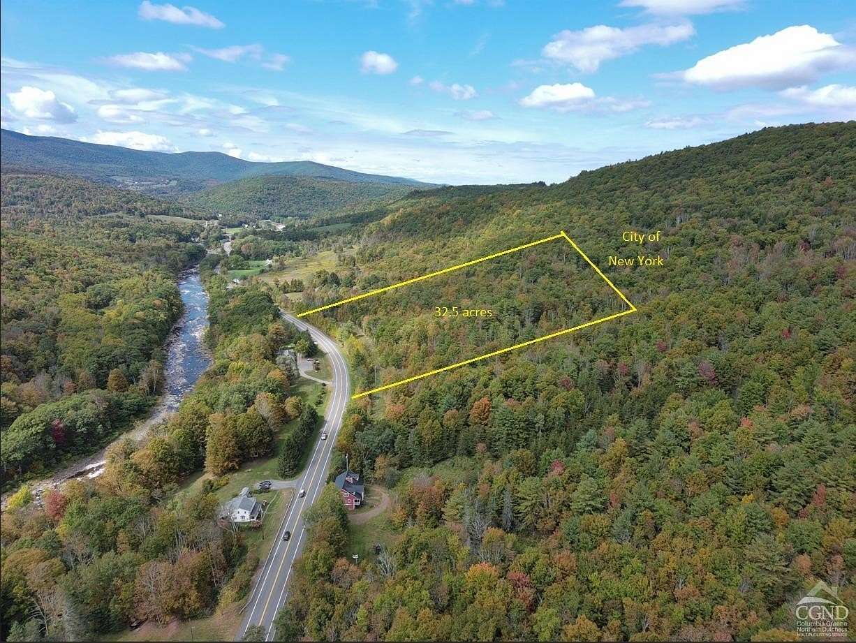 32.5 Acres of Land for Sale in Lexington, New York