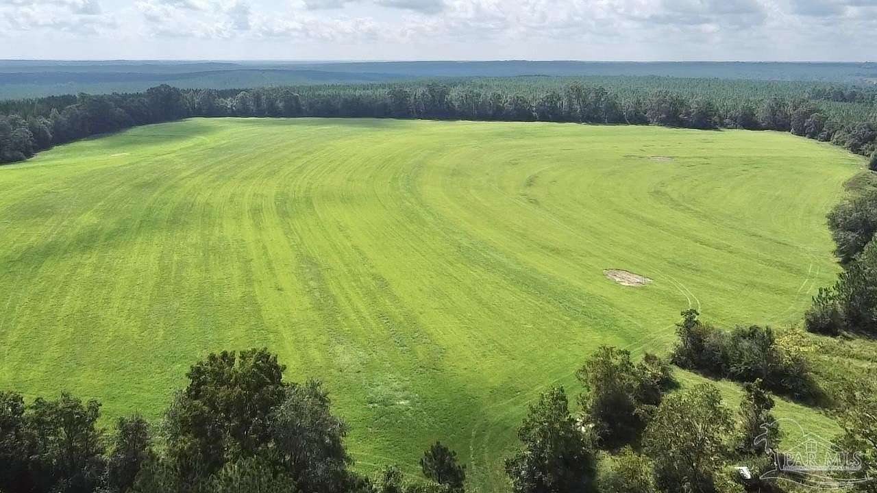 42 Acres of Recreational Land for Sale in Brewton, Alabama