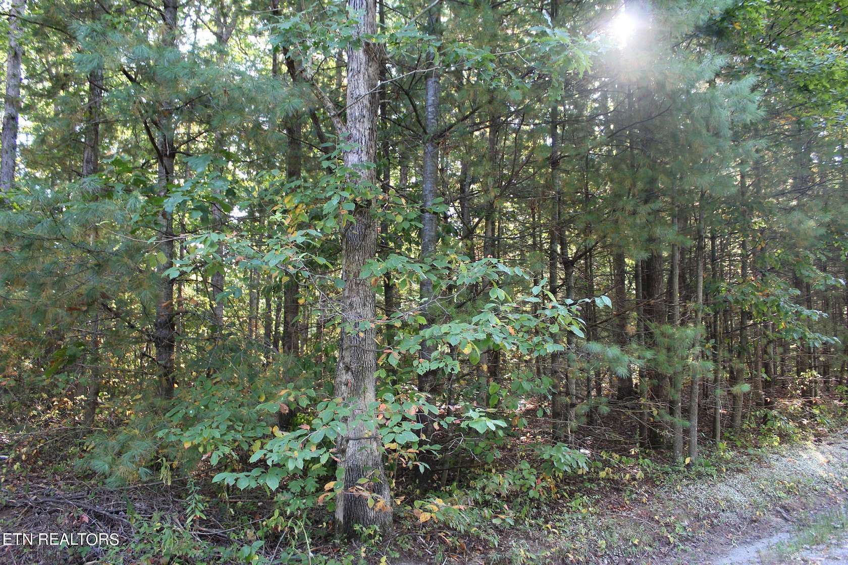 7.66 Acres of Land for Sale in Jamestown, Tennessee