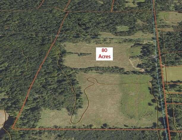 80 Acres of Recreational Land & Farm for Sale in Stockbridge, Michigan