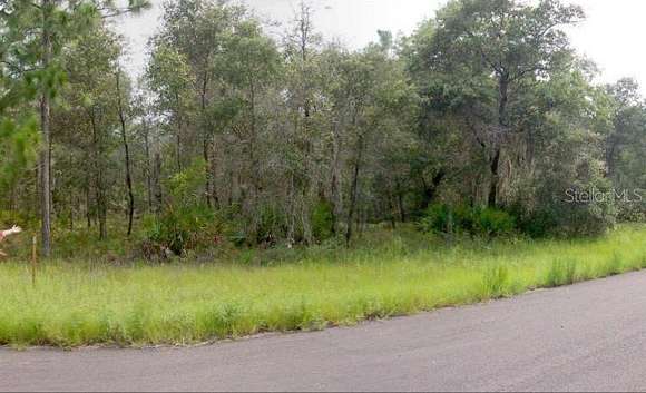 0.31 Acres of Land for Sale in Dunnellon, Florida