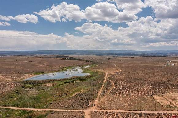 80 Acres of Agricultural Land for Sale in Glade Park, Colorado