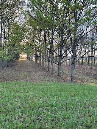 78 Acres of Recreational Land for Sale in Perote, Alabama