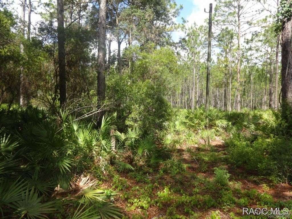 1.21 Acres of Land for Sale in Crystal River, Florida