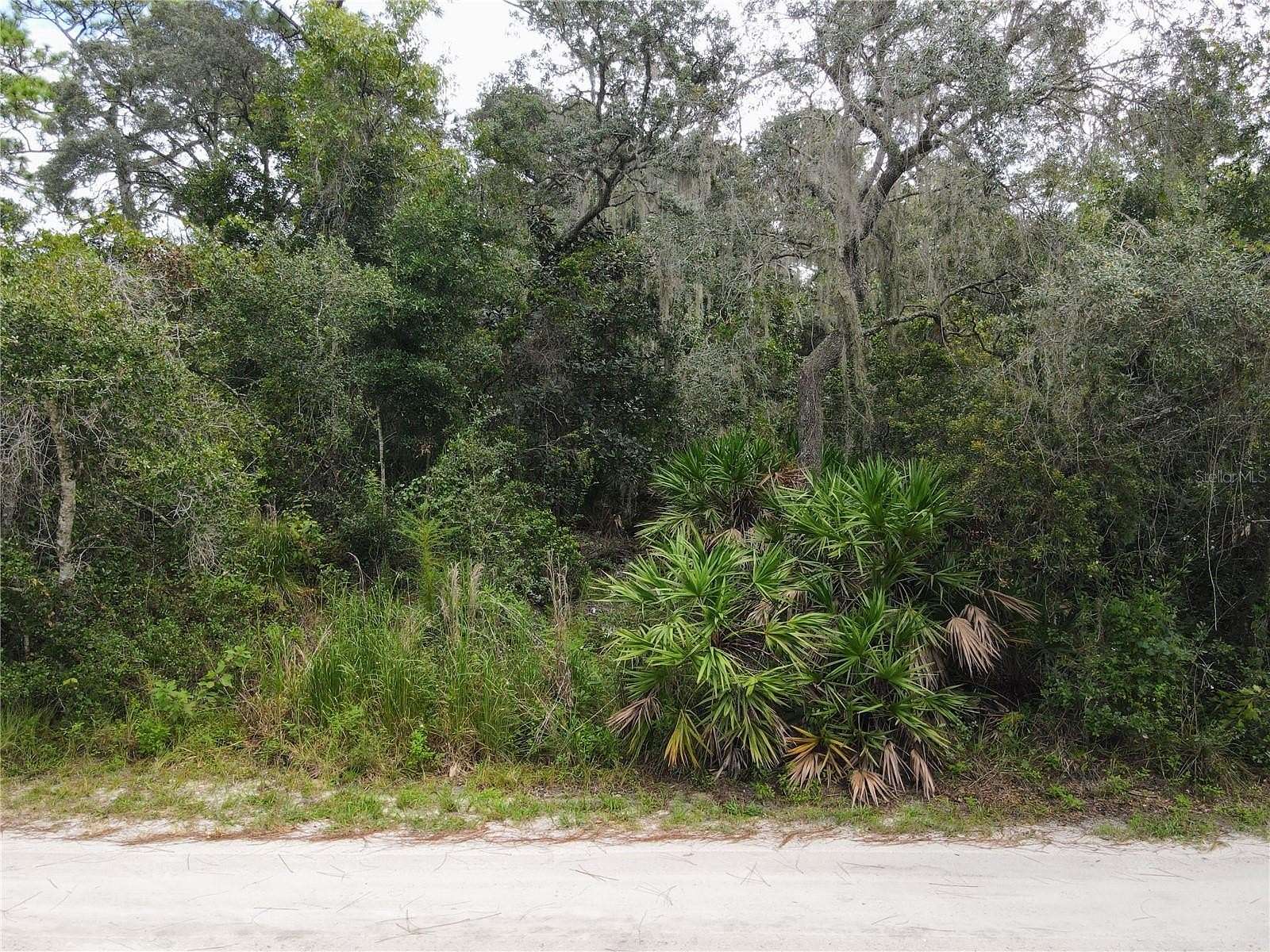 1 Acre of Land for Sale in Osteen, Florida