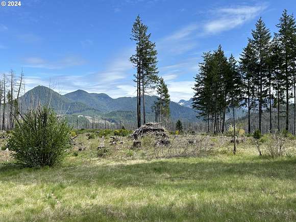 12 Acres of Recreational Land for Sale in Blue River, Oregon