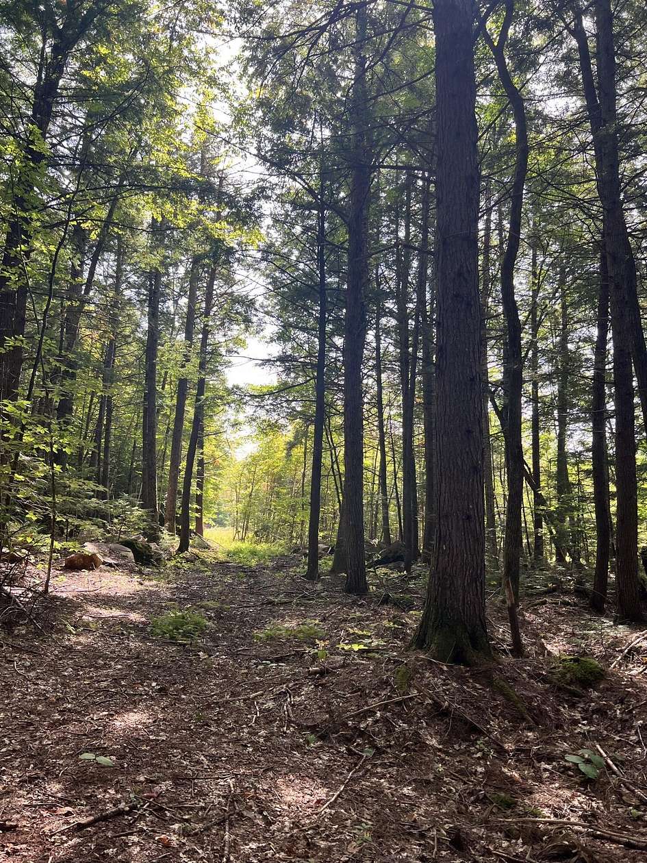 69 Acres of Land for Sale in Stow, Maine