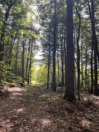 69 Acres of Land for Sale in Stow, Maine