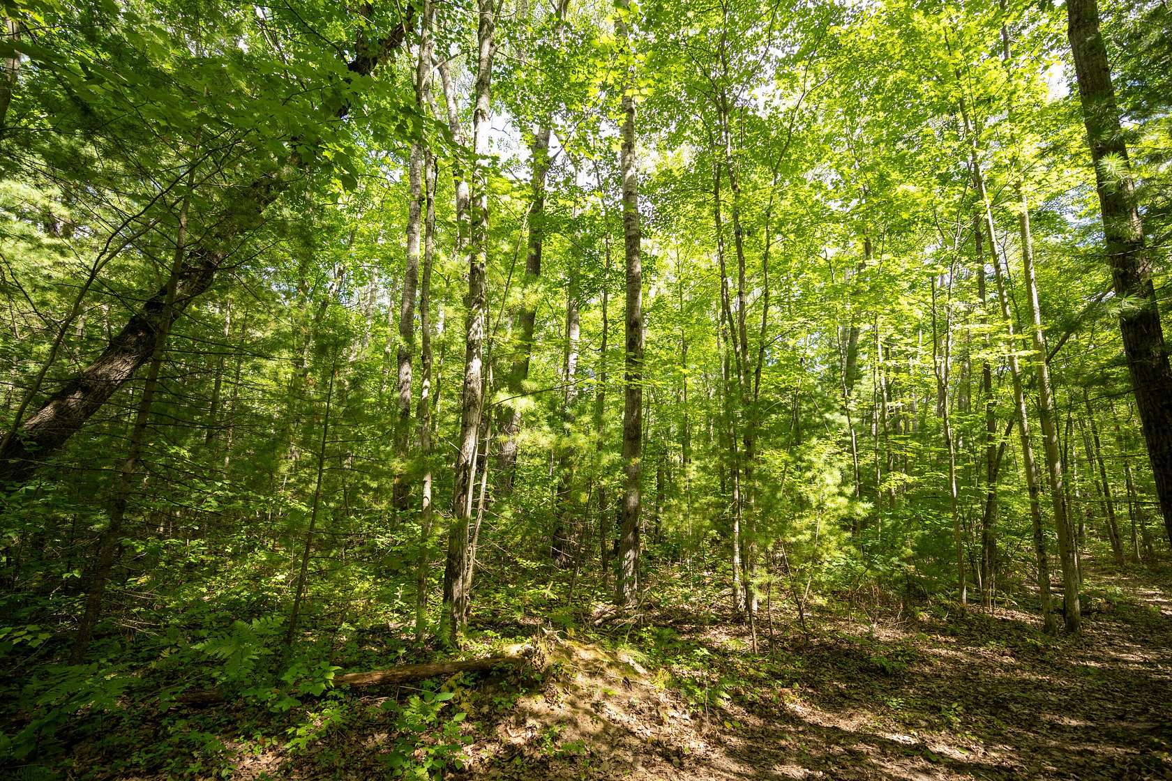 0.228 Acres of Land for Sale in Topinabee, Michigan