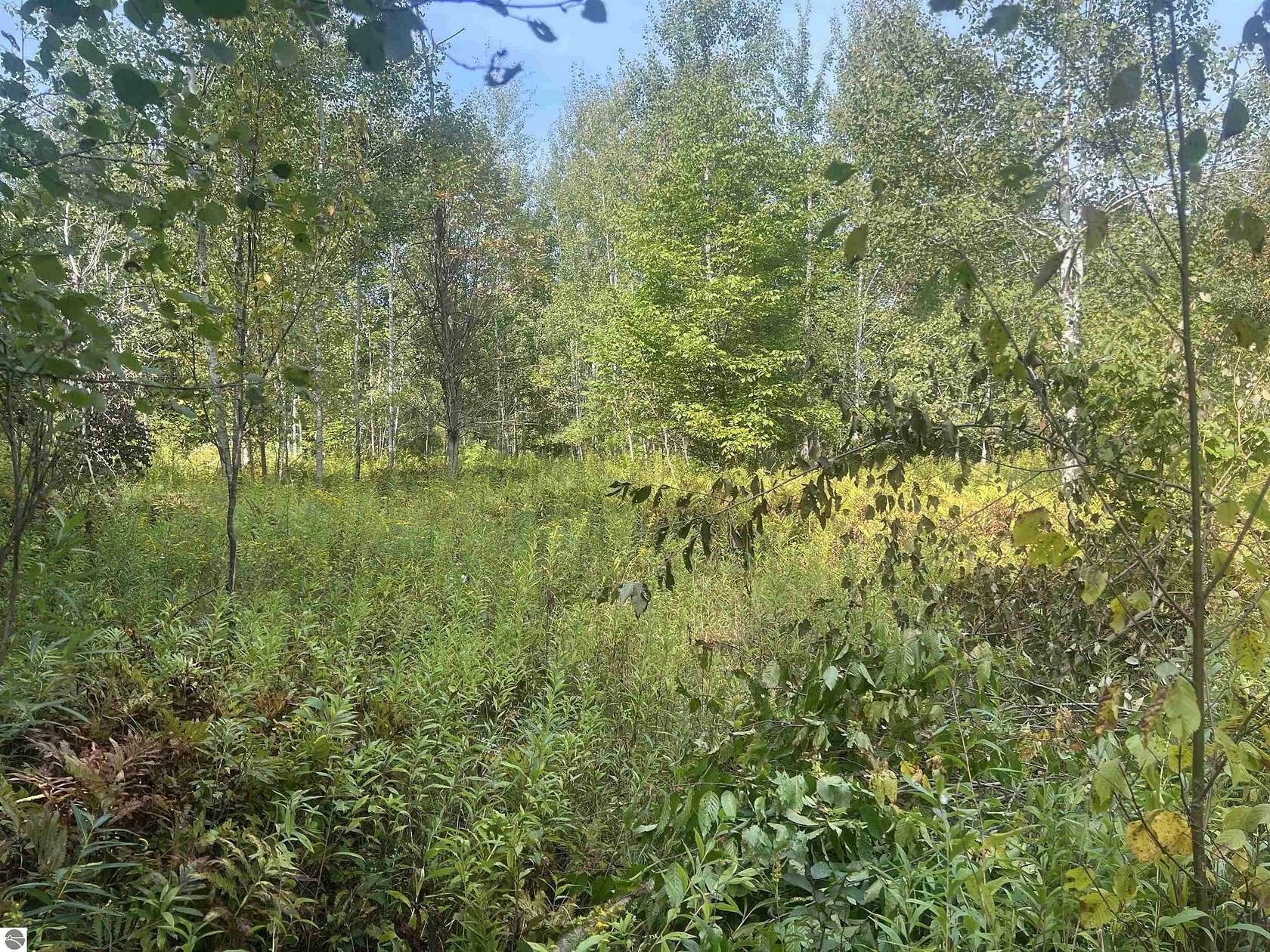 10 Acres of Recreational Land for Sale in Boon, Michigan