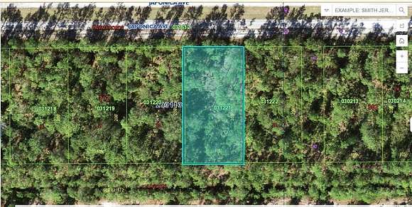 0.5 Acres of Land for Sale in Indian Lake Estates, Florida