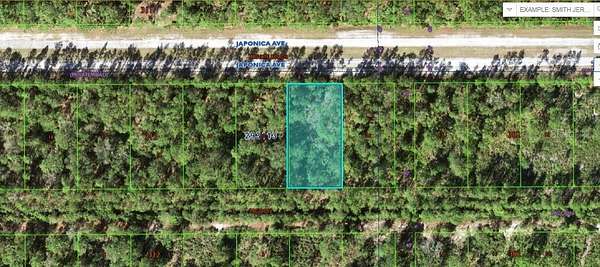 0.5 Acres of Land for Sale in Indian Lake Estates, Florida
