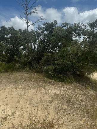 0.66 Acres of Residential Land for Sale in Webster, Florida