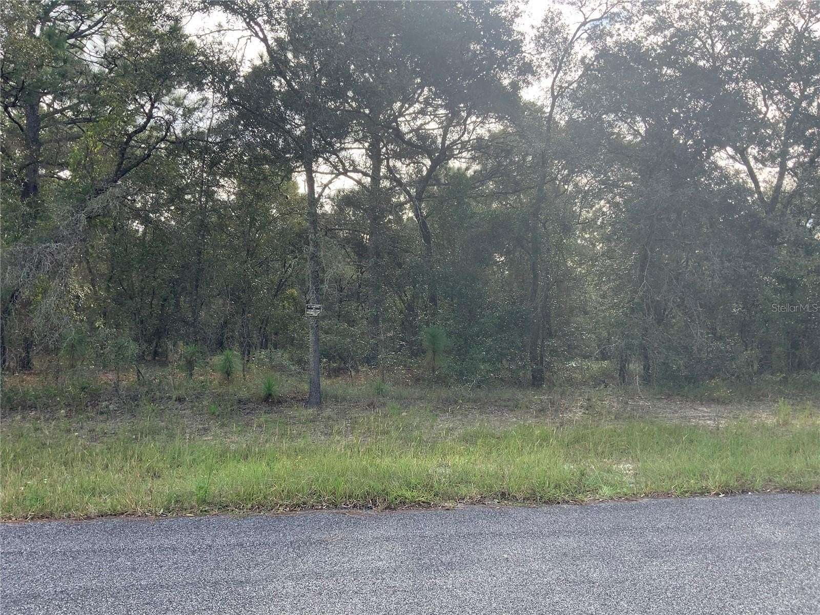 10.9 Acres of Recreational Land for Sale in Morriston, Florida