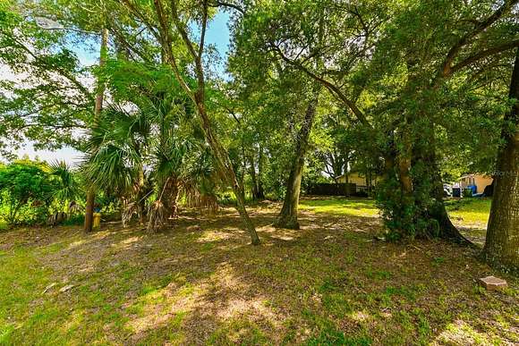 0.08 Acres of Residential Land for Sale in Tampa, Florida