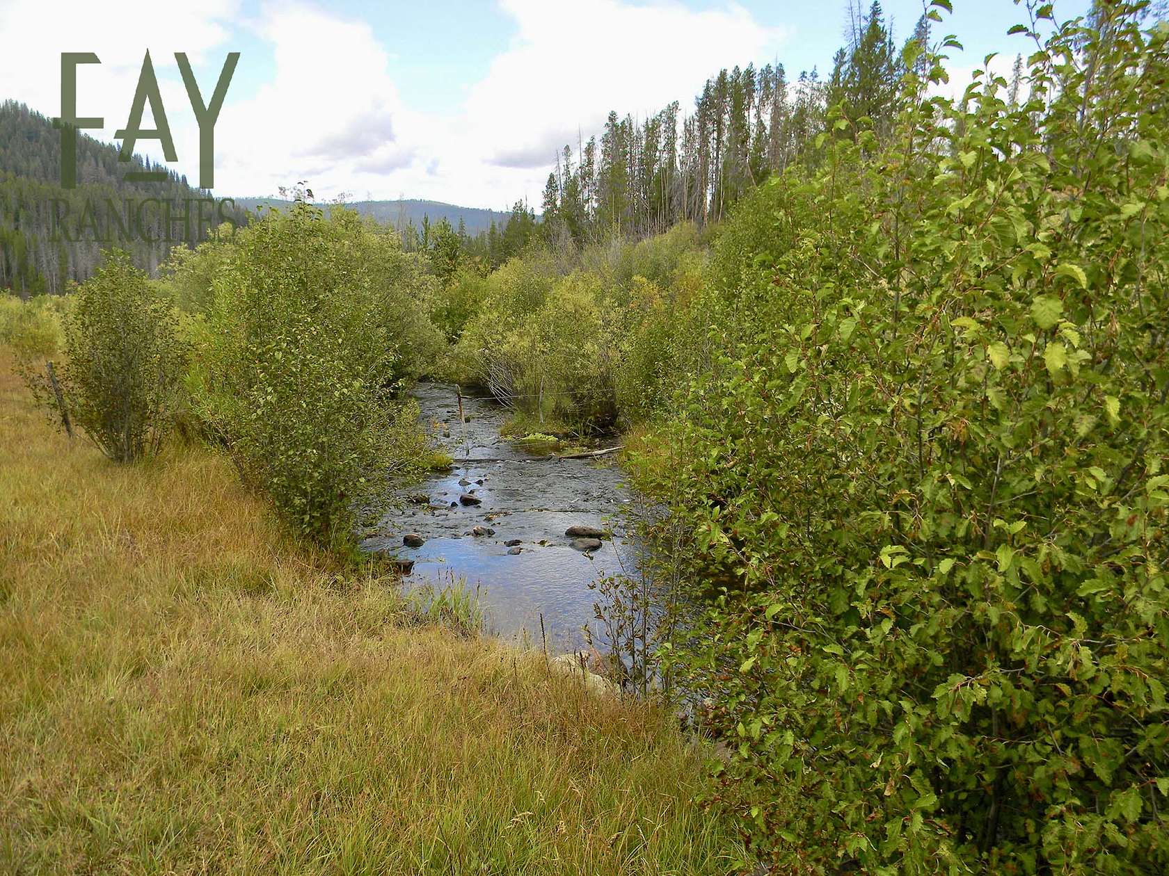 1,099 Acres of Recreational Land & Farm for Sale in Salmon, Idaho