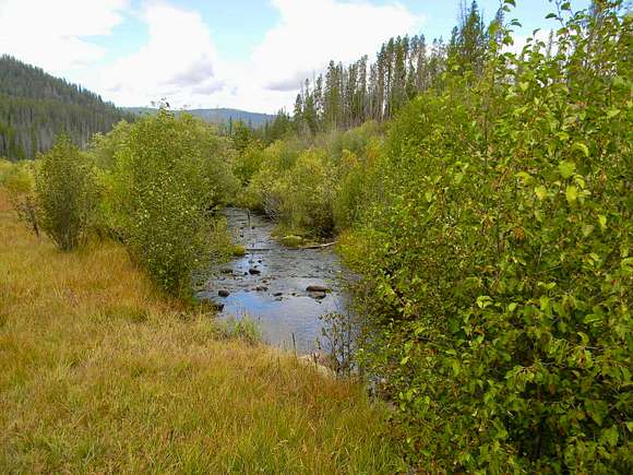 1,099 Acres of Recreational Land & Farm for Sale in Salmon, Idaho