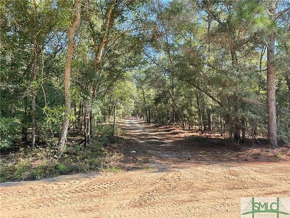 334 Acres of Recreational Land for Sale in Clyo, Georgia