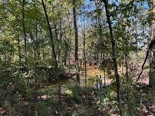 200 Acres of Recreational Land & Farm for Sale in San Augustine, Texas